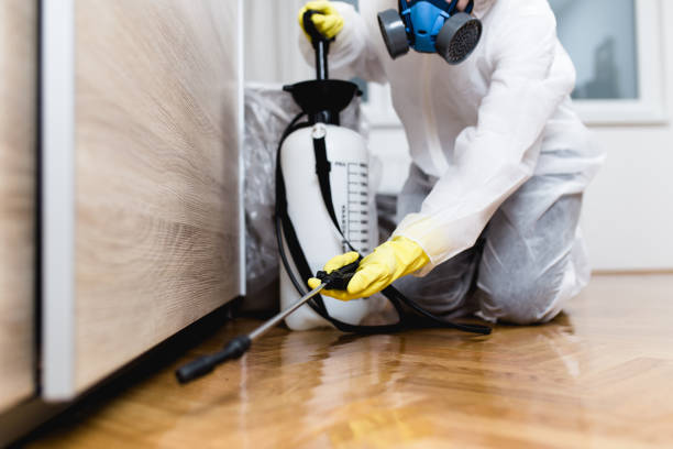 Best Local Pest Control Services  in Leupp, AZ