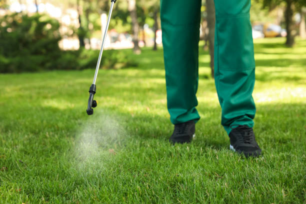 Best Termite Control Services  in Leupp, AZ