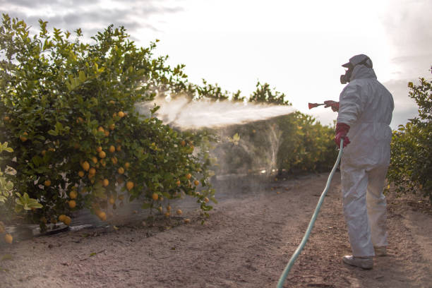 Best Mosquito Control Services  in Leupp, AZ